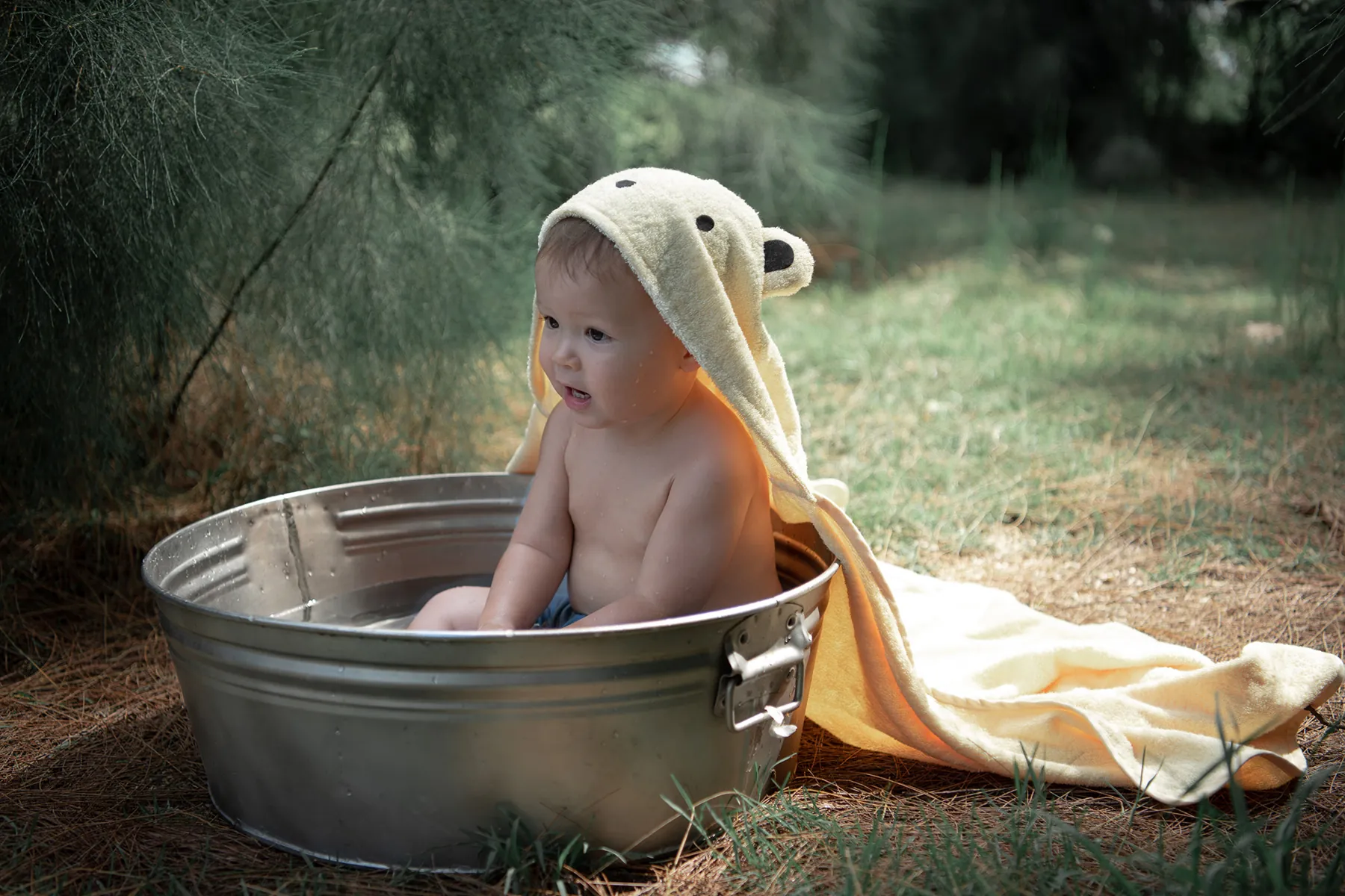 Animal Hooded Towel 1