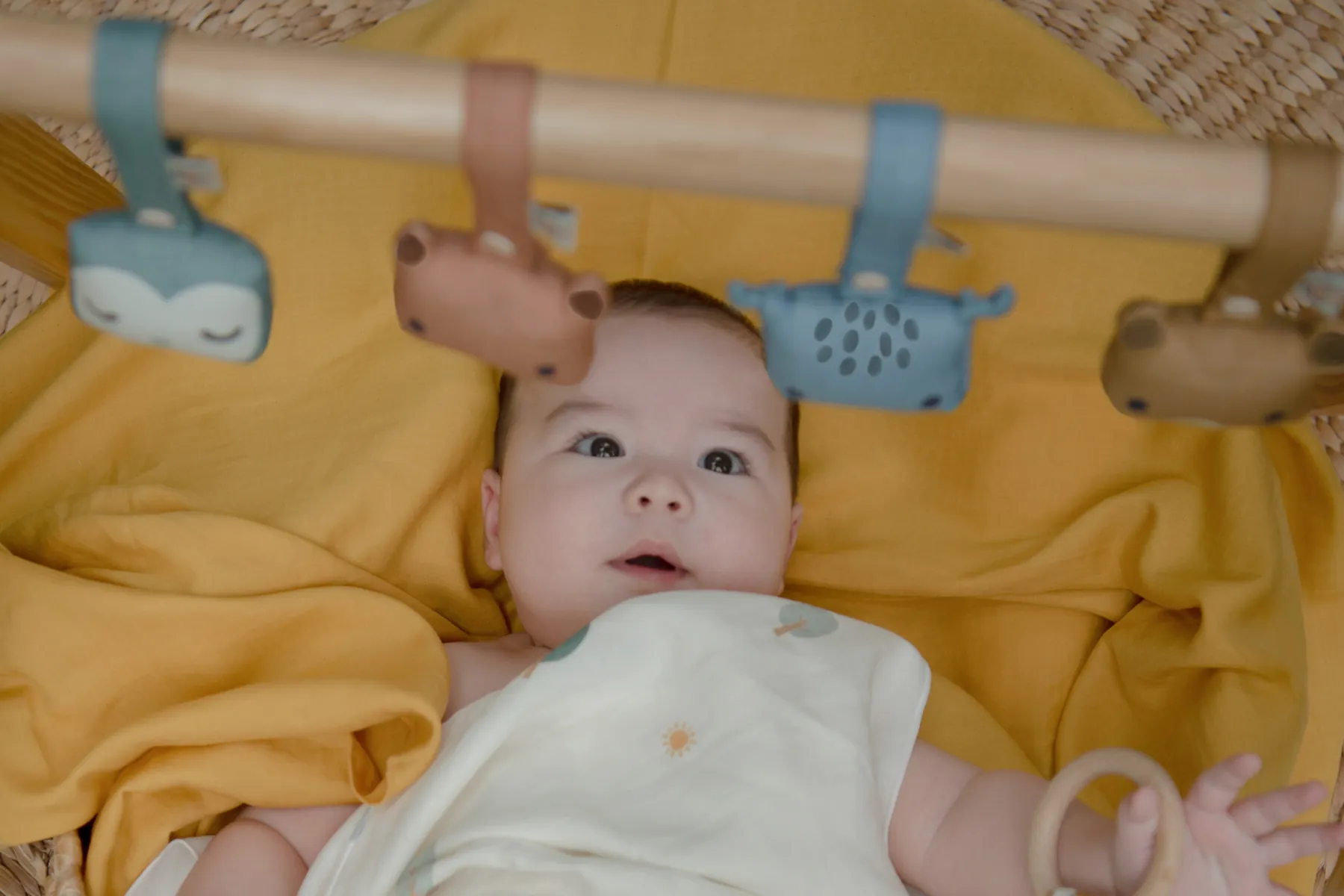 Animal Rattle 2