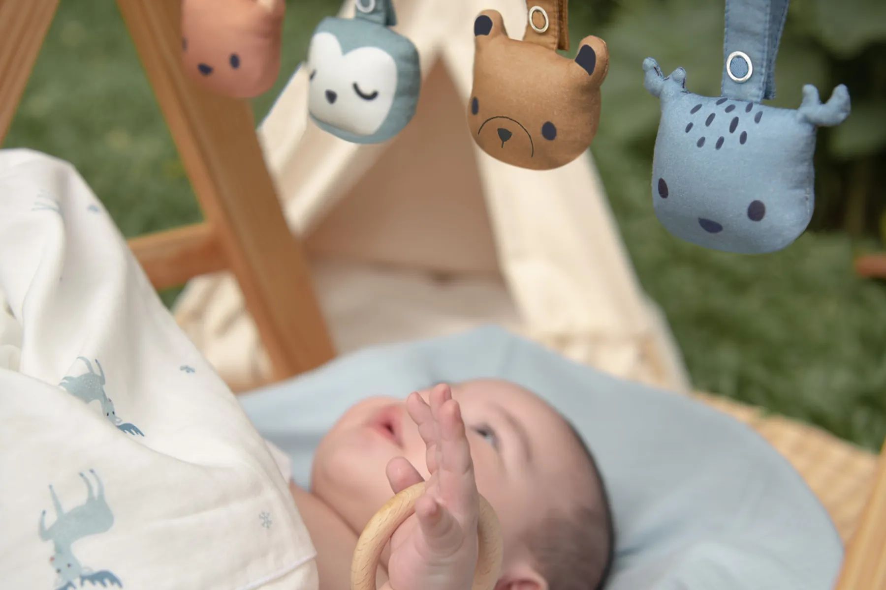 Animal Rattle 1